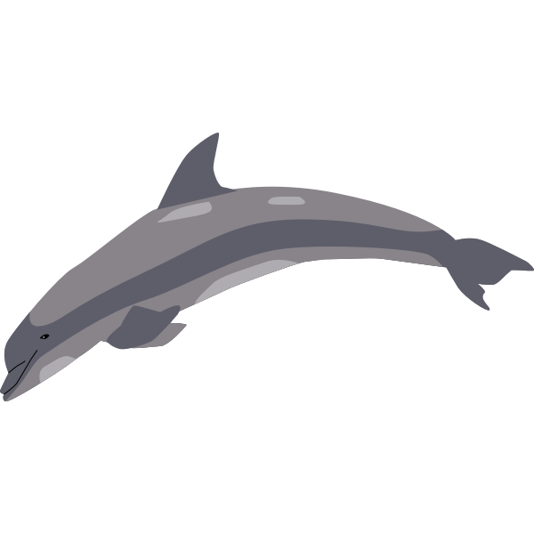 SVG Dolphin in a jump
