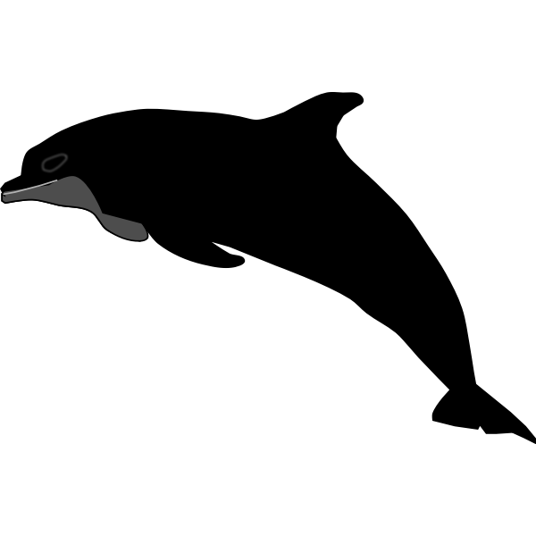 SVG Dolphin vector silhouette