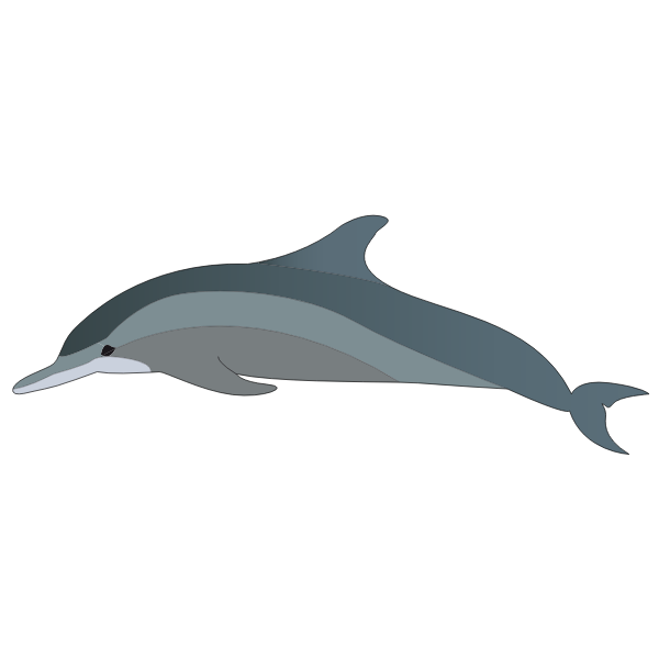 SVG Dolphin039s profile