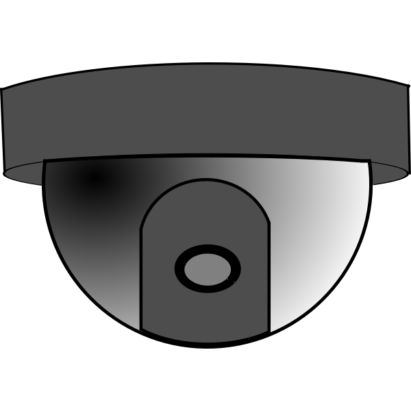 SVG Dome camera