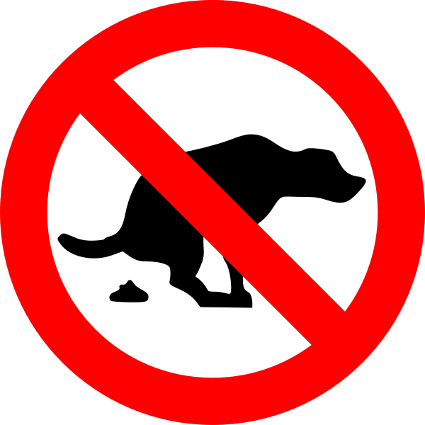 SVG Don039t crap