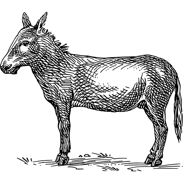 SVG donkey