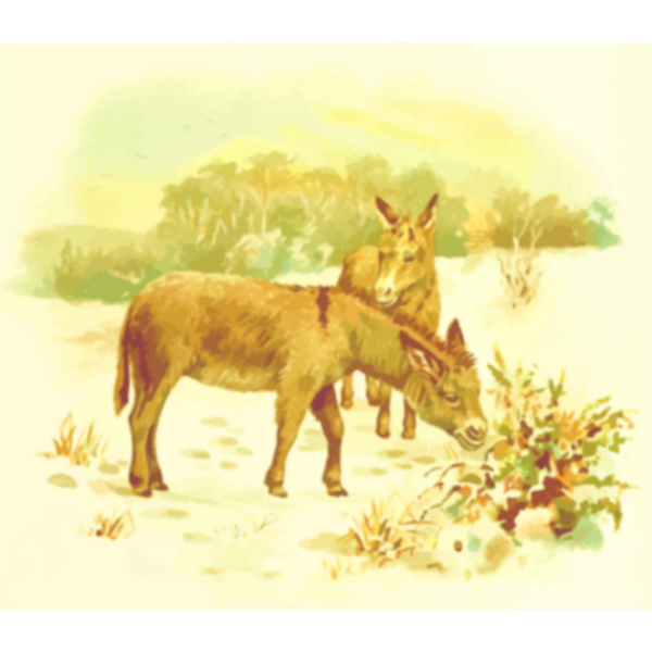 SVG Donkeys illustration