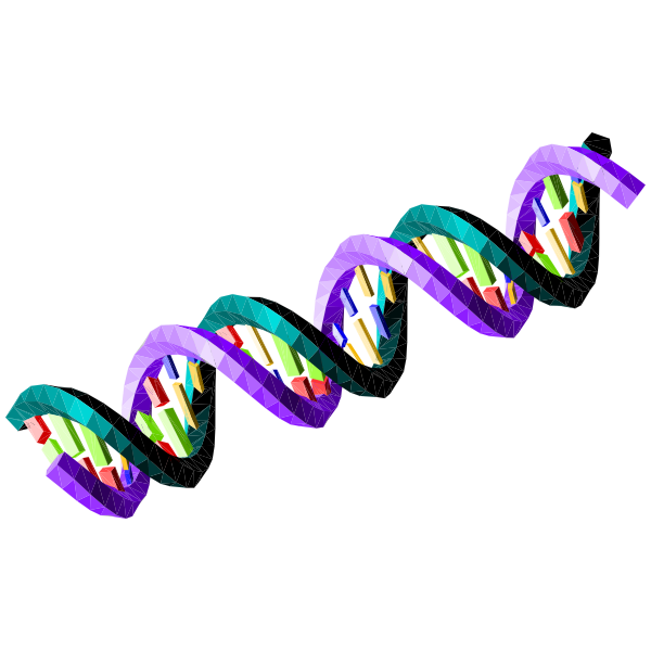 SVG Double-stranded DNA sequence