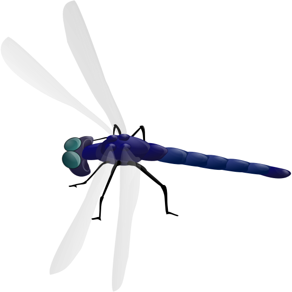 SVG Dragonfly drawing