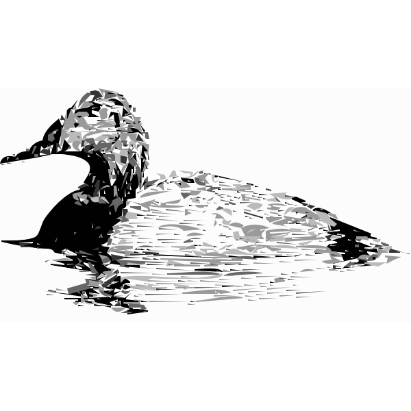 SVG Drake canvasback vector graphics