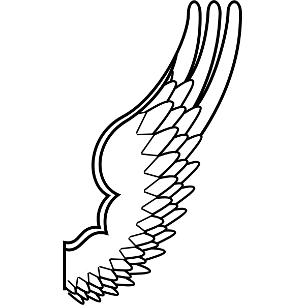 SVG Drawing of a wing of mythological bird