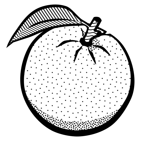 SVG Drawing of an orange