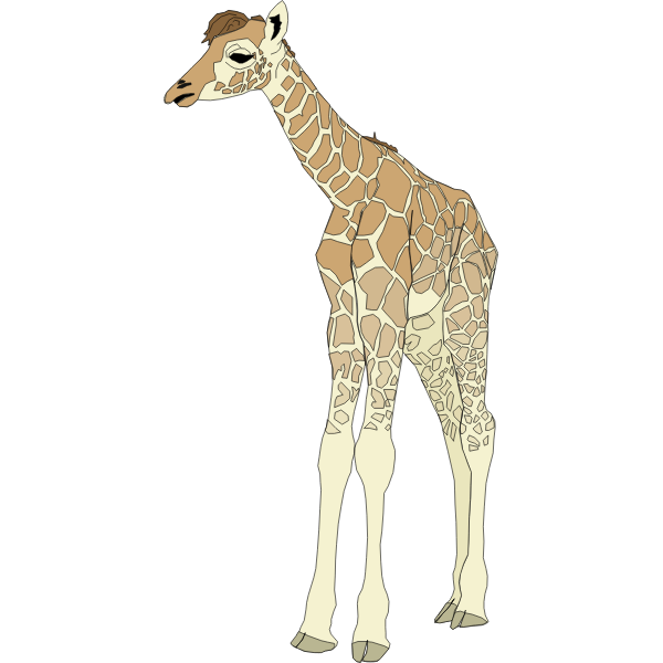 SVG Drawing of Baby Giraffe