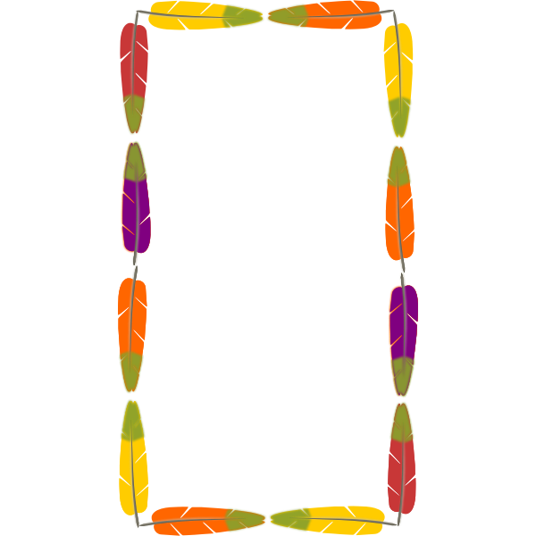 SVG Drawing of frame made out of colorful bird feathers