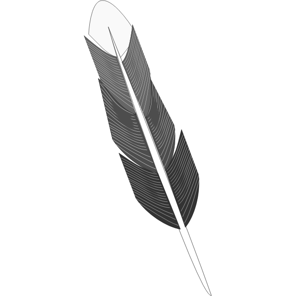SVG Drawing of grey feather