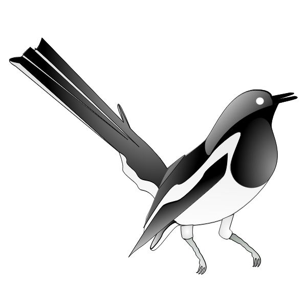 SVG Drawing of oriental magpie-robin