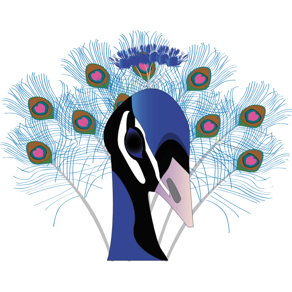 SVG Drawing of peacock with a huge tail
