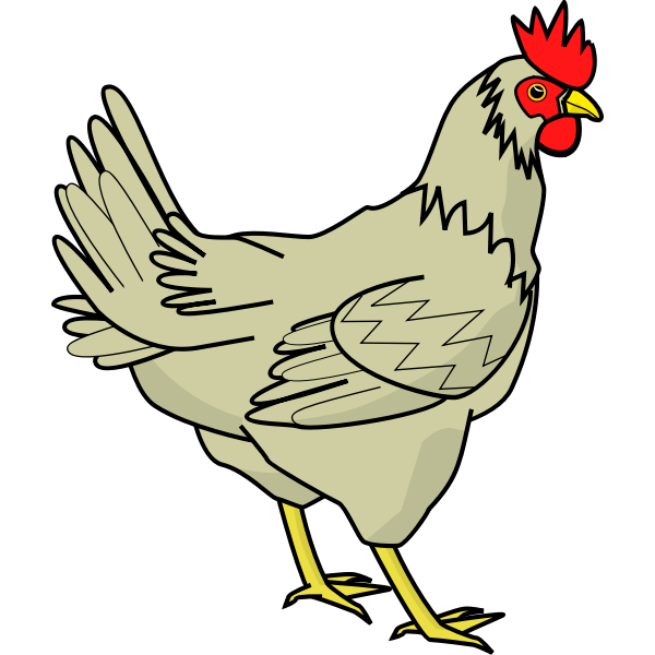 SVG Drawing of poultry bird