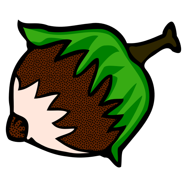 SVG Drawing of ripe hazelnut line art in color