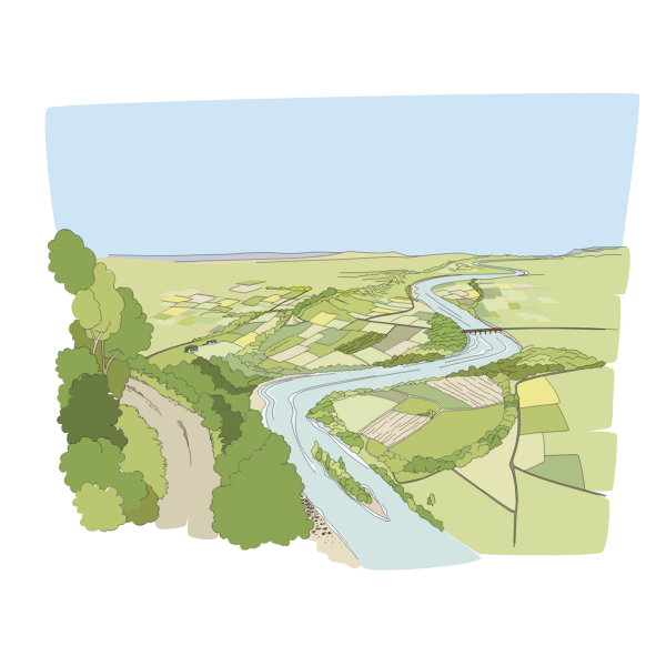 SVG Drawing of river flowing through green fields