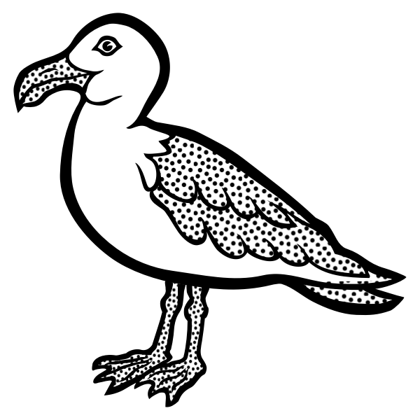 SVG Drawing of spotty gull