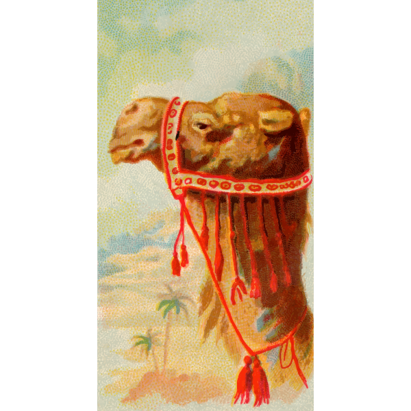 SVG Dromedary image