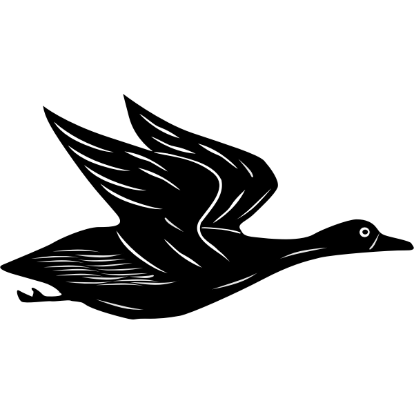 SVG Duck flying