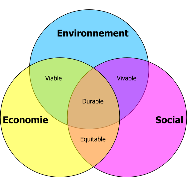 SVG Durable development vector diagram