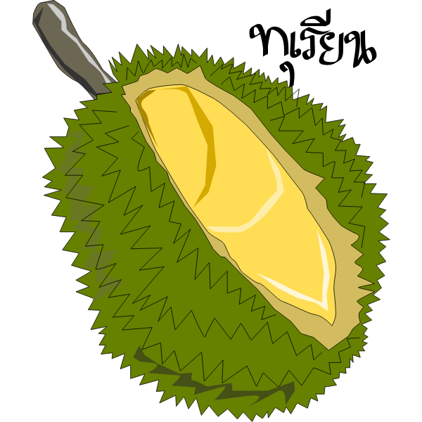 SVG DurianThai Fruit