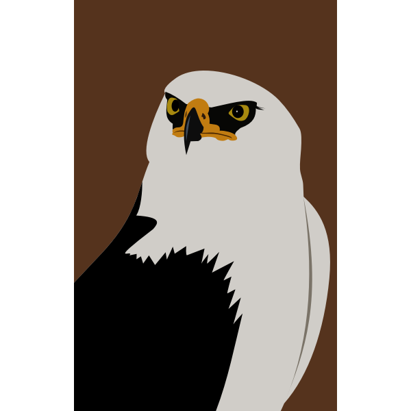 SVG Eagle sketch