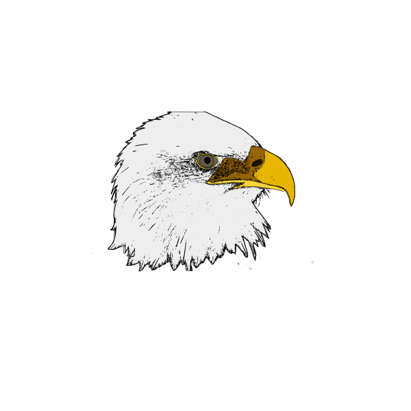 SVG Eagle vector art