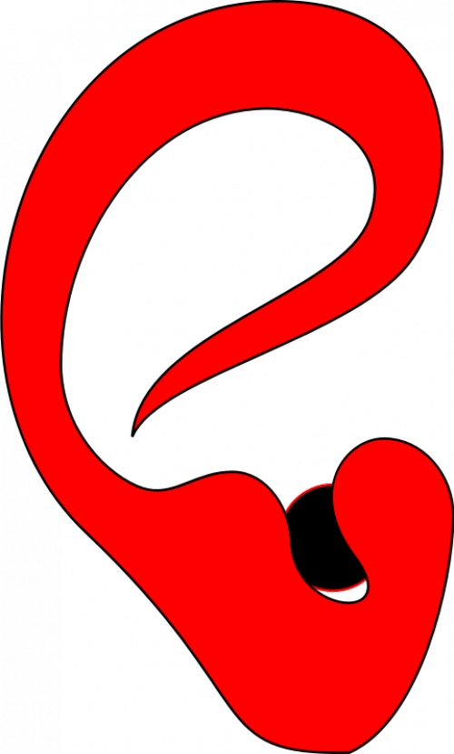 SVG Ear 2