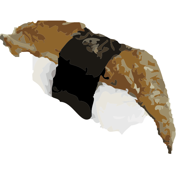 SVG Eel sushi vector art