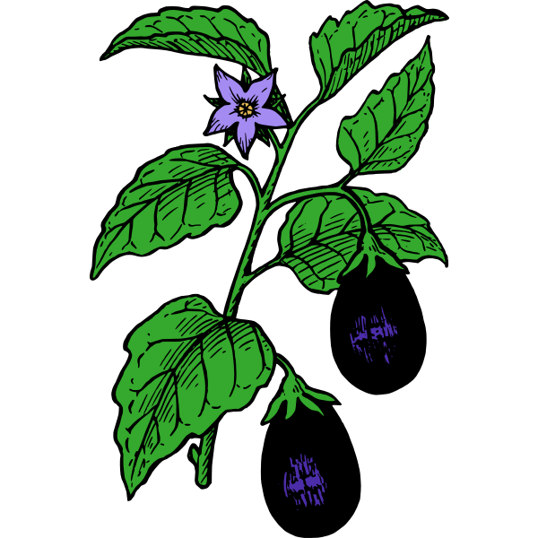 SVG Eggplant on a stable
