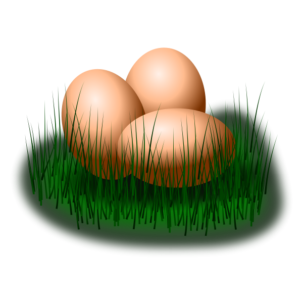 SVG Eggs in grass vector image