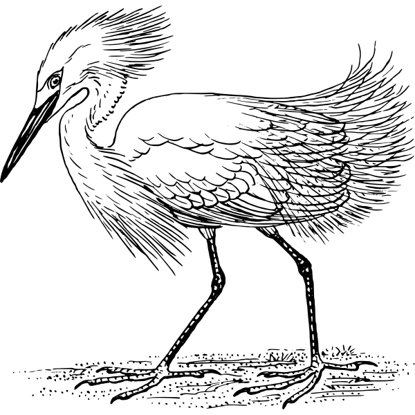 SVG Egret walking