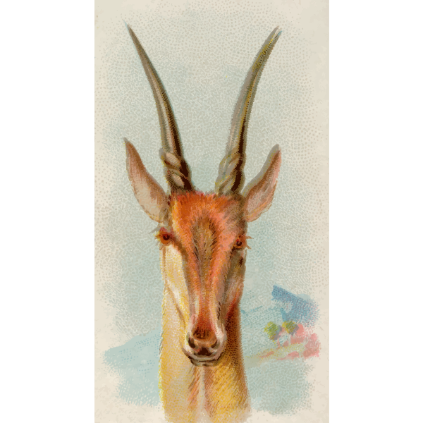 SVG Eland image