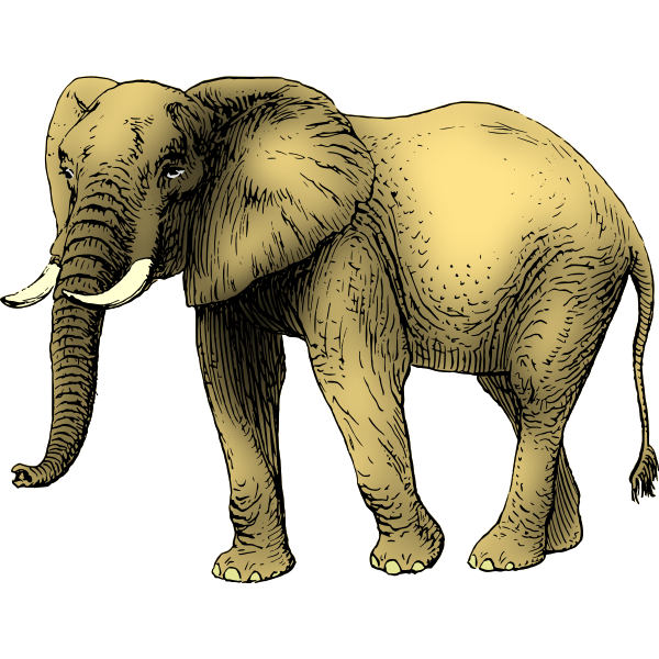 SVG Elephant colored in yellow