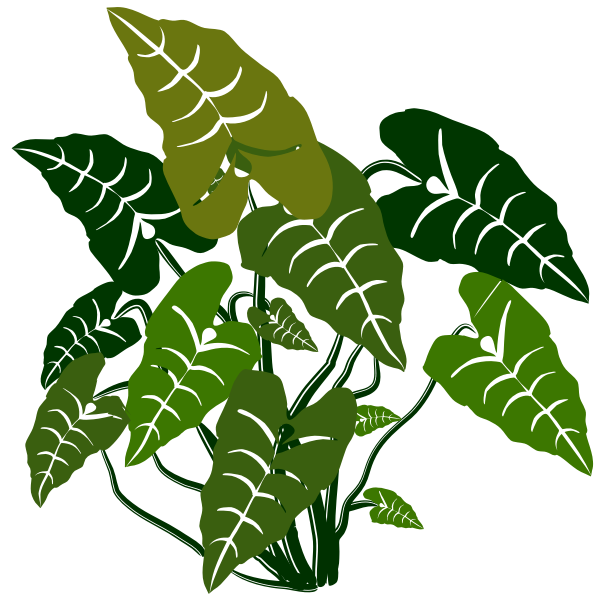 SVG Elephant ears plant