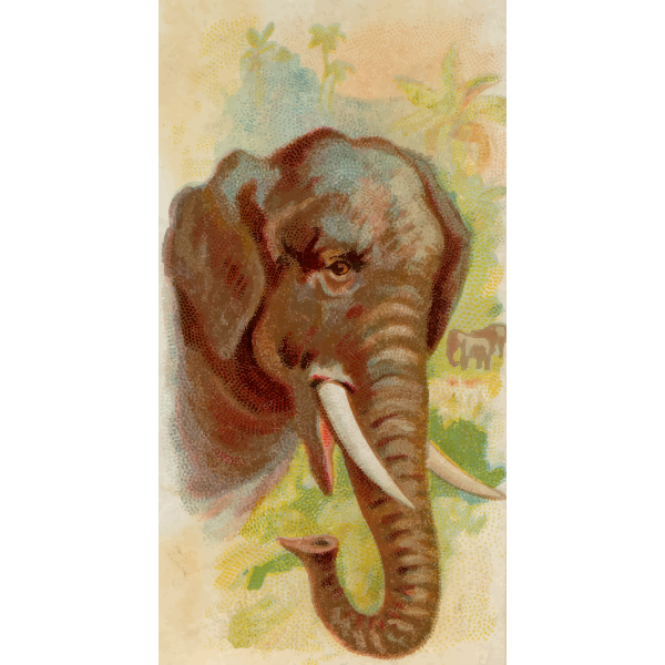 SVG Elephant illustration