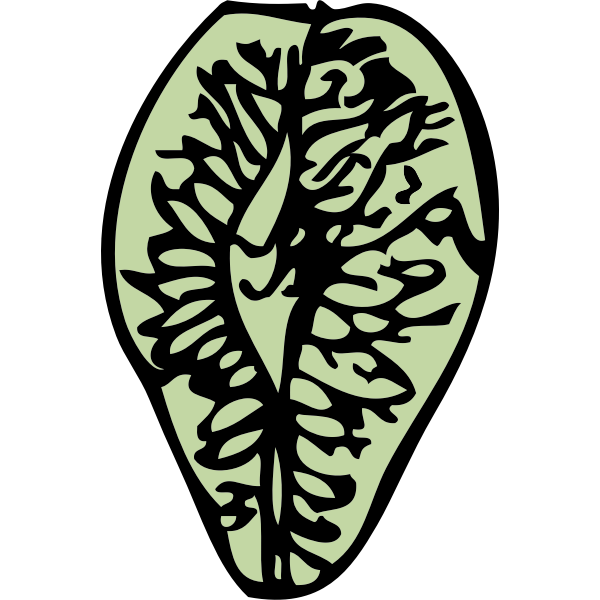 SVG elm seed