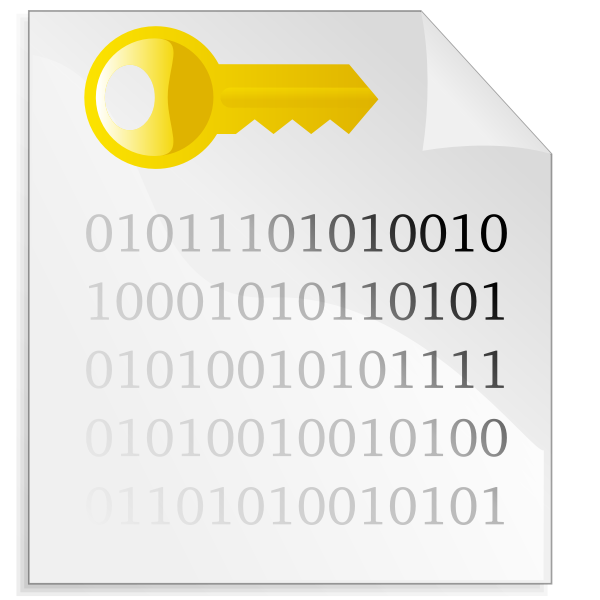 SVG Encrypted file icon vector image