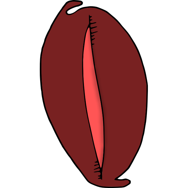 SVG Enter