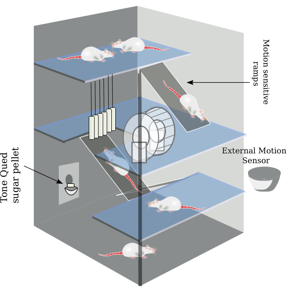 SVG Environmental Enrichment