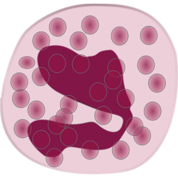 SVG eosinophil