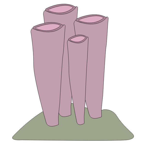 SVG eponge a crevette