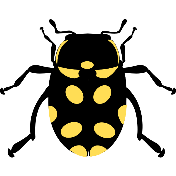 SVG Eriopis canrash bug