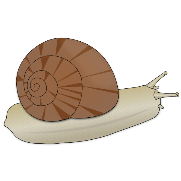 SVG Escargot