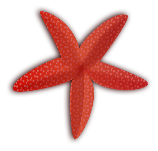 SVG etoile de mer