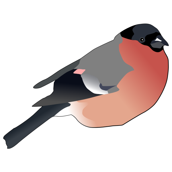 SVG Eurasian Bullfinch