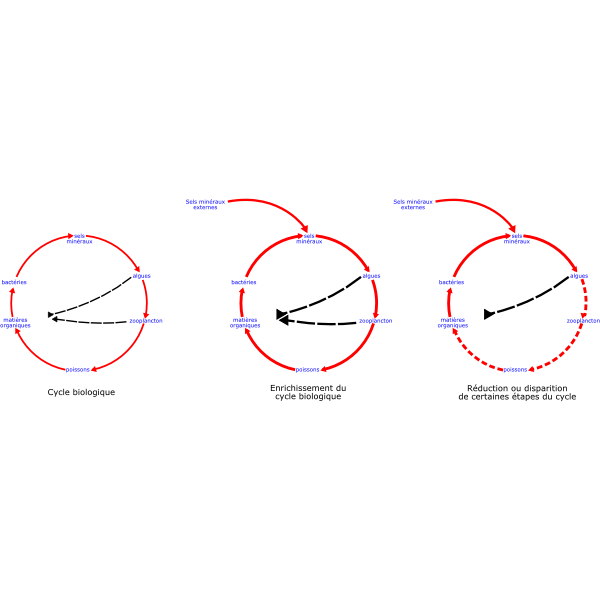 SVG eutrophisation cycle