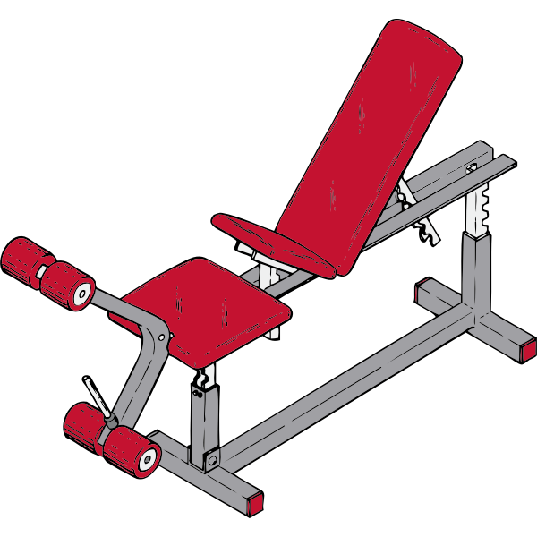 SVG exercise bench