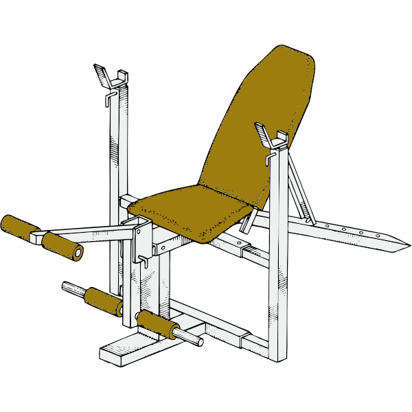 SVG exercise bench