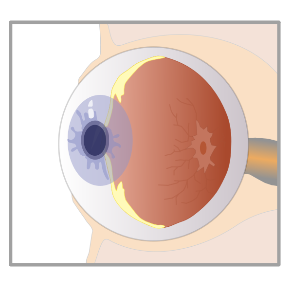 SVG eye